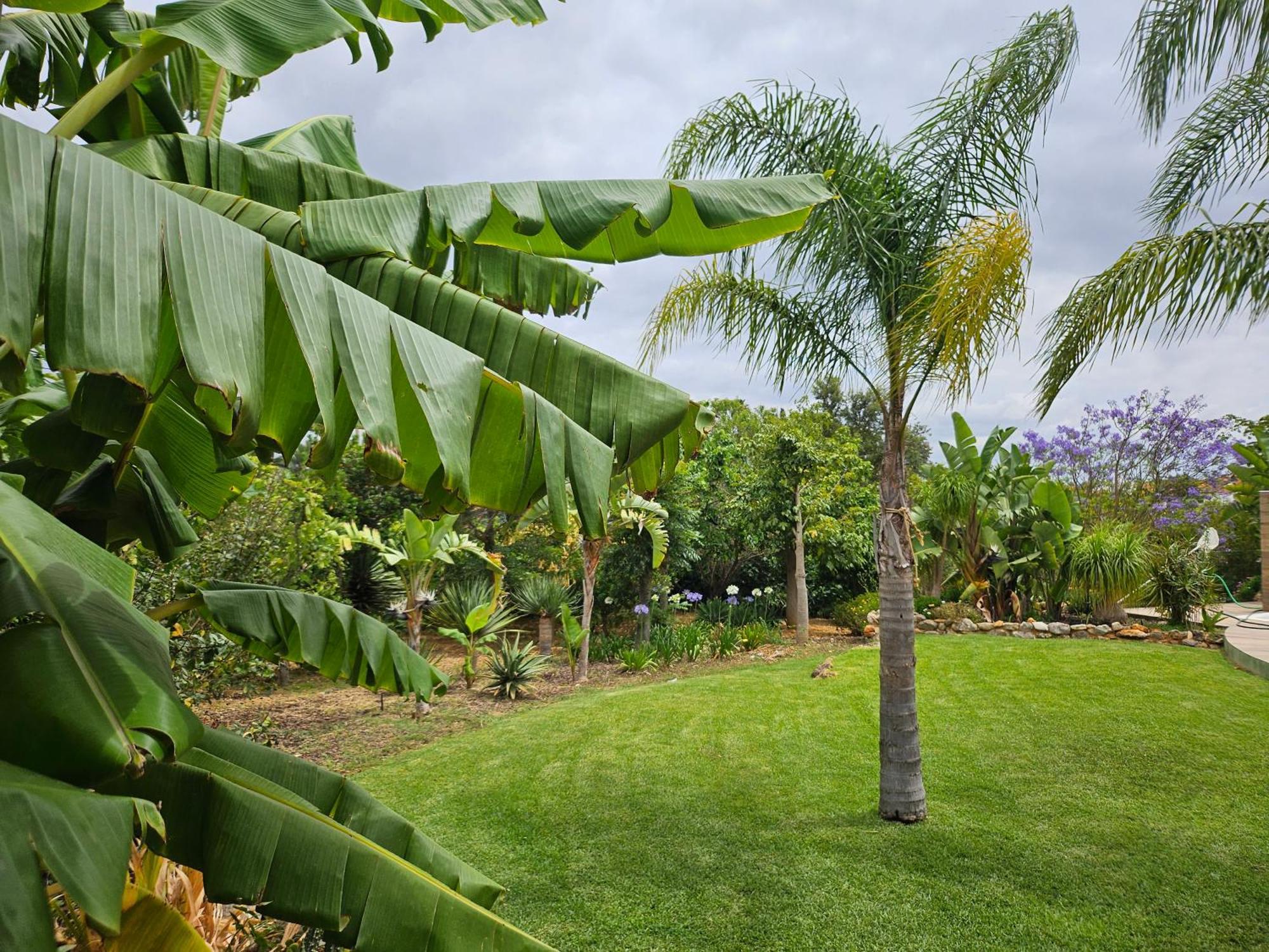 Vila Das Petalas By Atlantichotels Portimão Eksteriør billede